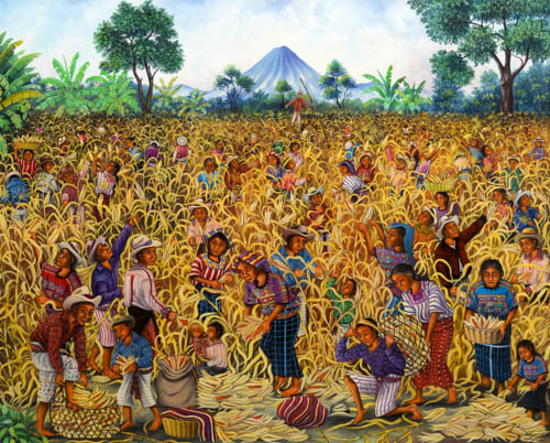 Artemaya Catalog MRO-527